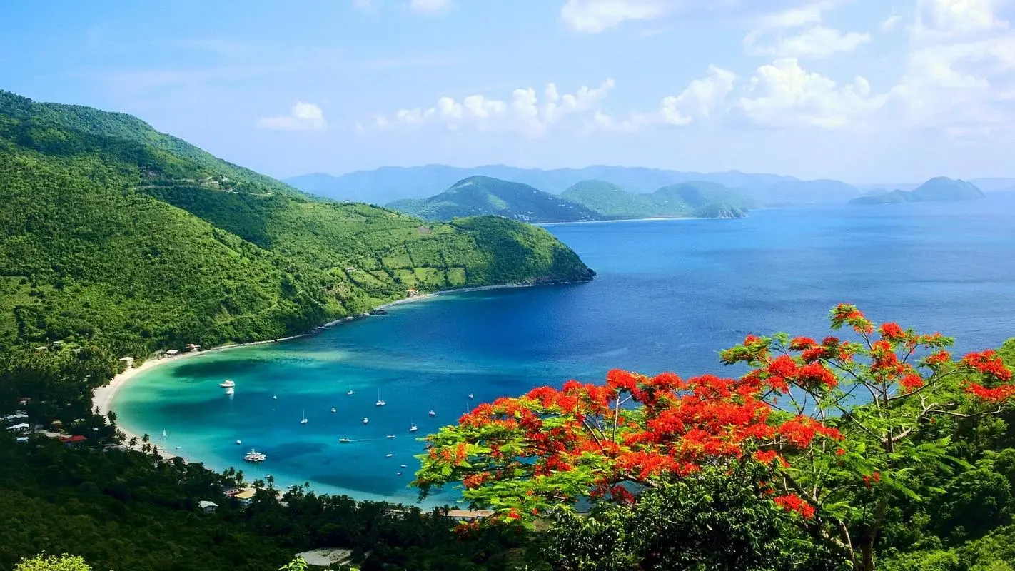 稳定性节能高效